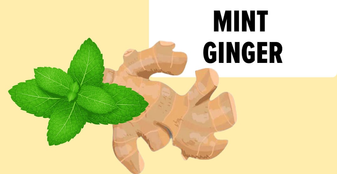 Mint Ginger